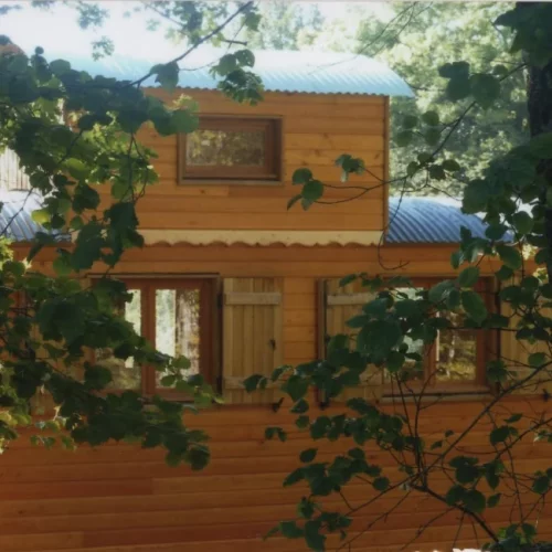 collage_2_haut_droite